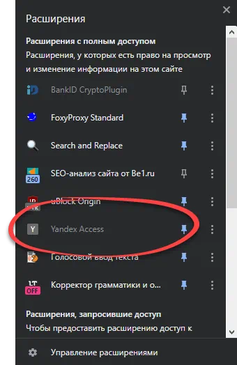 Yandex Access
